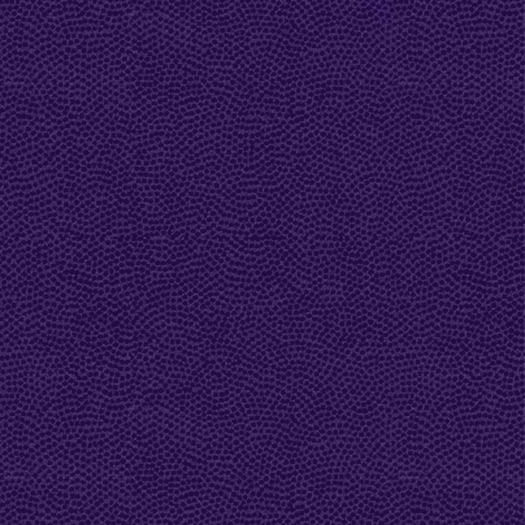 Eggplant/Purple